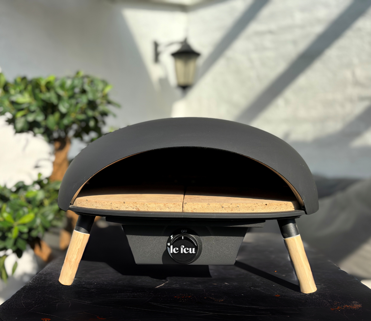 Le Feu Turtle 3.1