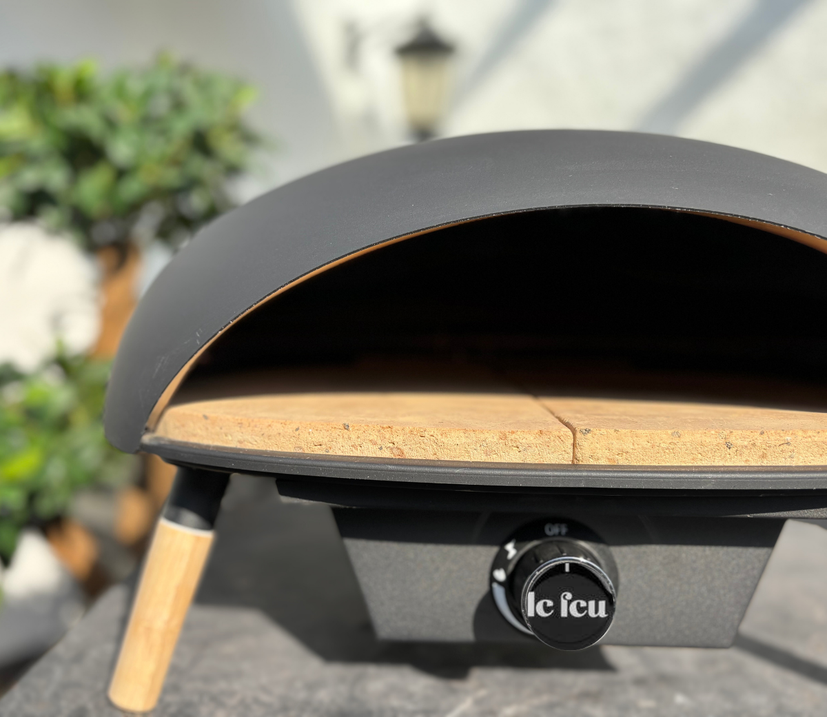 Le Feu Turtle 3.1