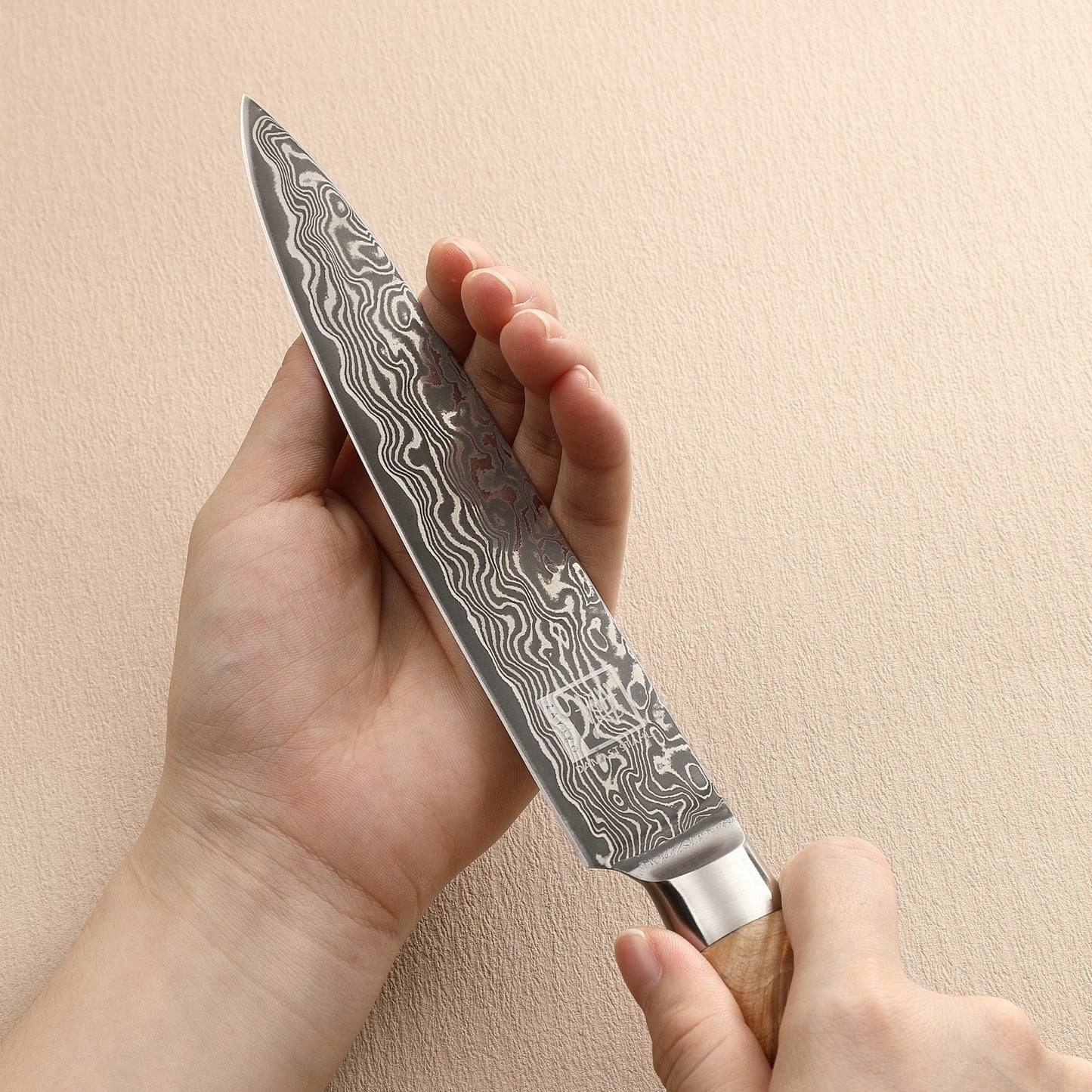 ZAYIKO Serie "Kinone" - Tranchier- und Fleischmesser