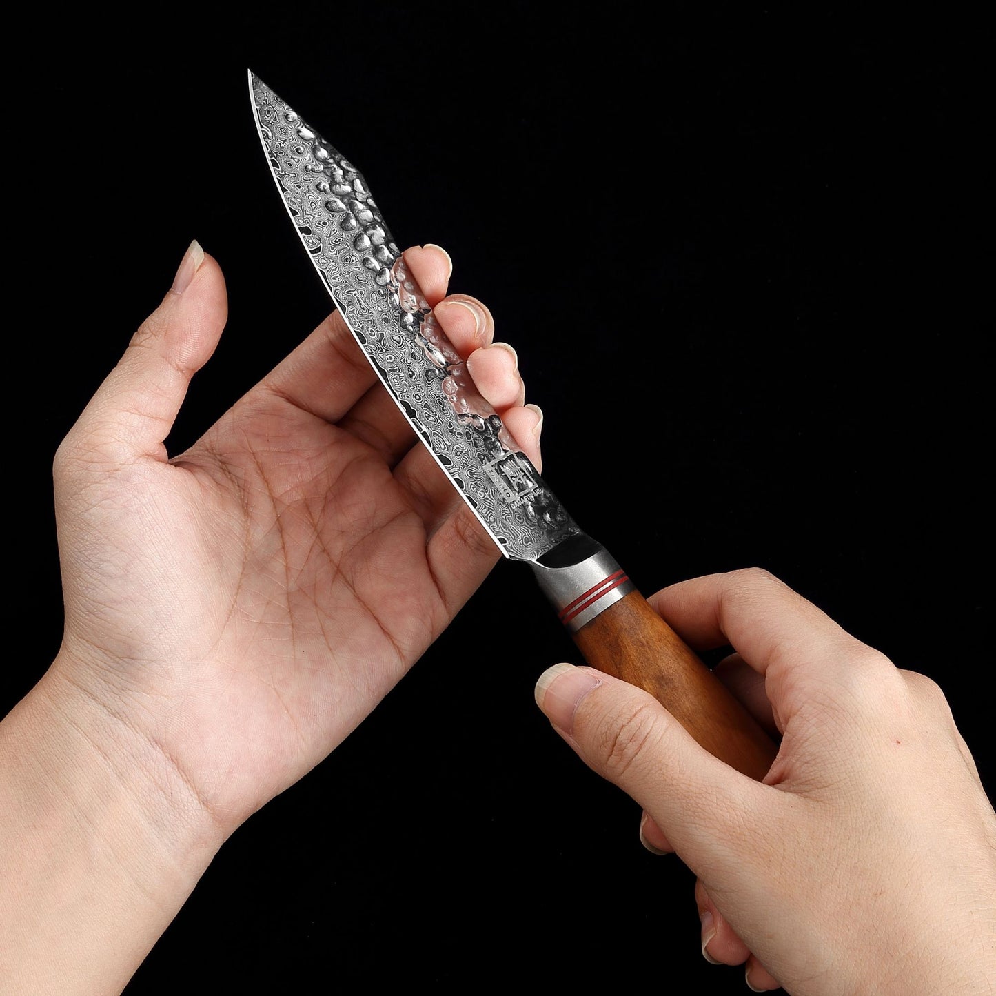 ZAYIKO Serie "Olive" - 2-er Steakbesteck-Set